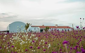 Monte De Palma- Quinta Biodinamica Momentos Unicos